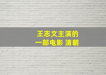 王志文主演的一部电影 清朝